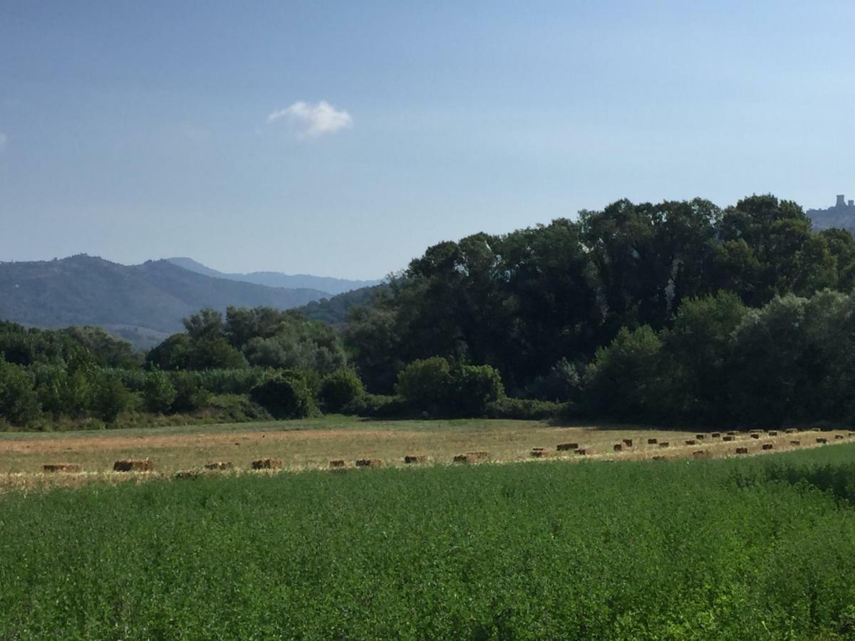 B&B La Nonnina Del Cilento 卡萨尔韦利诺 外观 照片