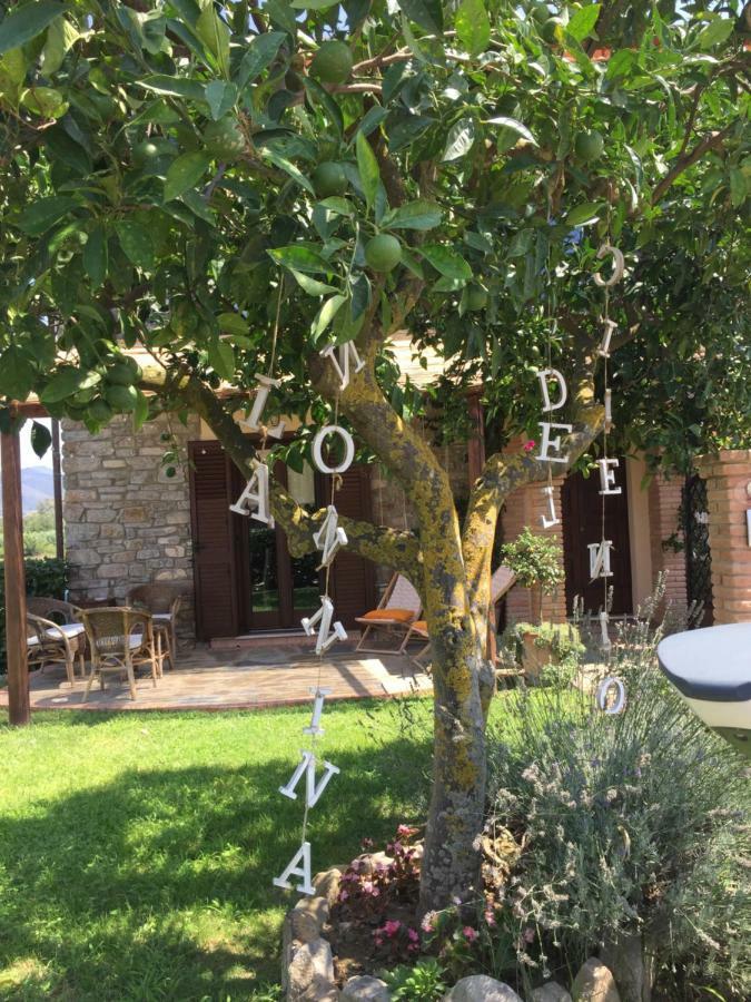 B&B La Nonnina Del Cilento 卡萨尔韦利诺 外观 照片