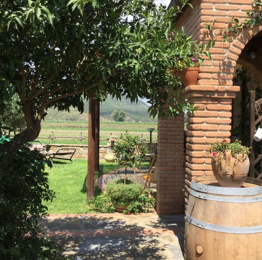B&B La Nonnina Del Cilento 卡萨尔韦利诺 外观 照片